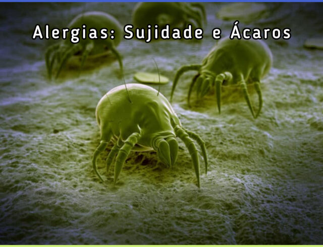 Alergias: Sujidade e Ácaros